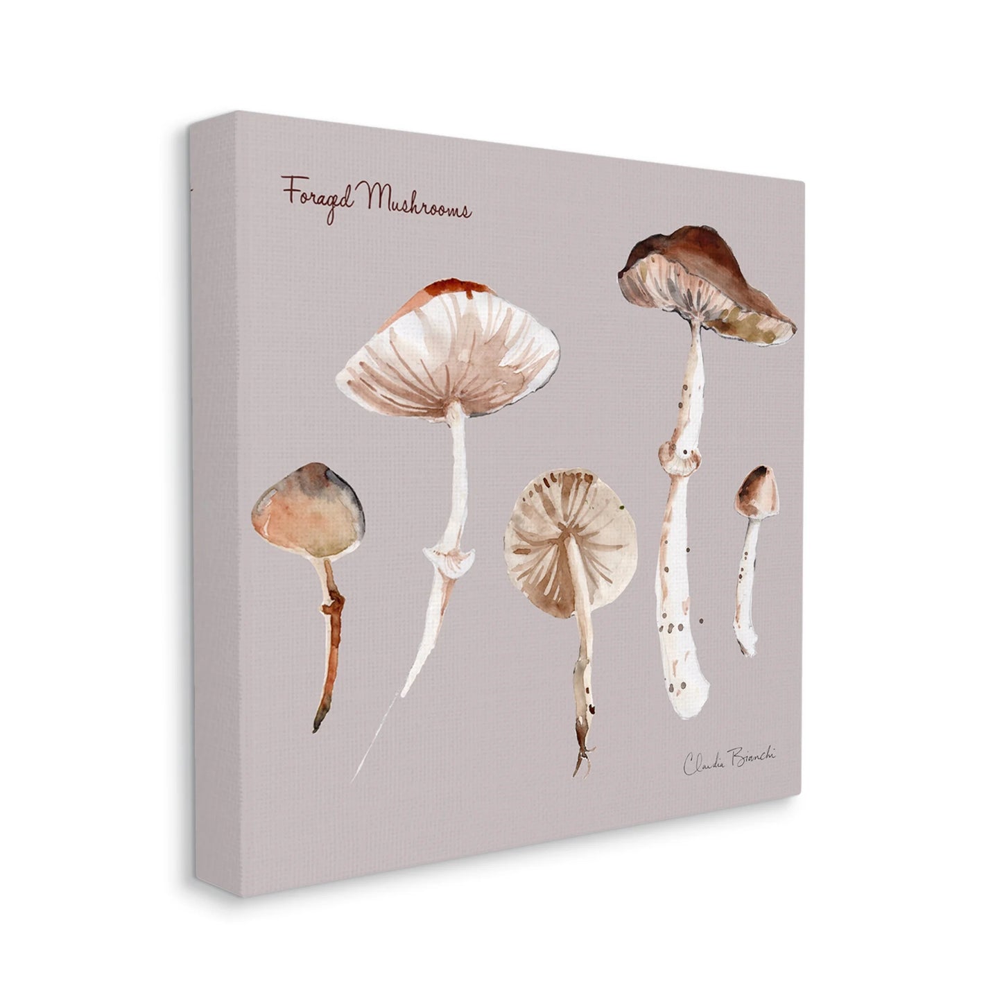 Sizetupell Industries Foraged Mushrooms Sizetudy Botanical & Floral Painting Gallery Wrapped Canvas Art Print Wall Art, 36 x 36