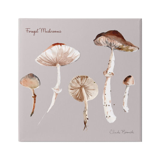 Sizetupell Industries Foraged Mushrooms Sizetudy Botanical & Floral Painting Gallery Wrapped Canvas Art Print Wall Art, 36 x 36