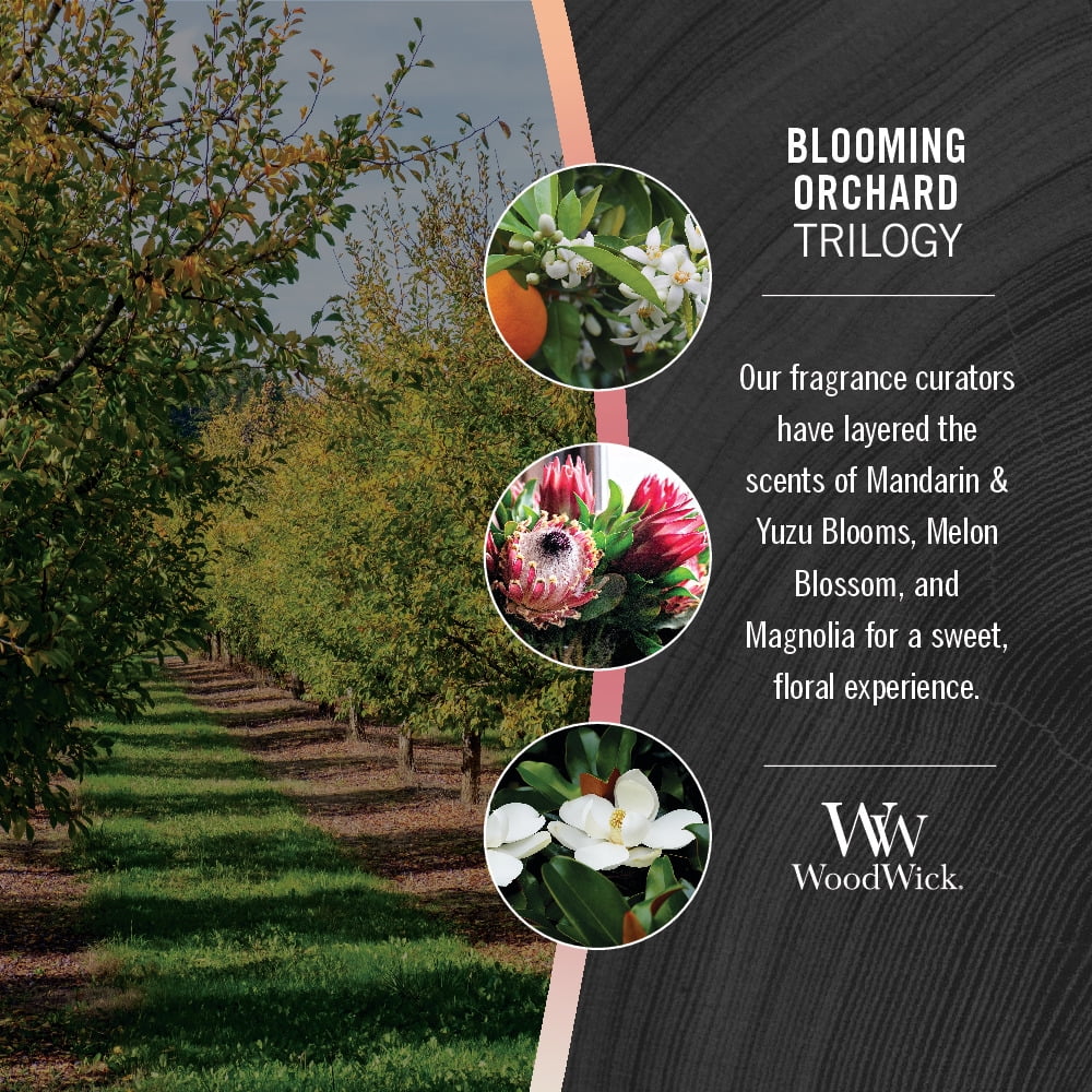 WoodWick Blooming Orchard Trilogy - Ellipse Candle