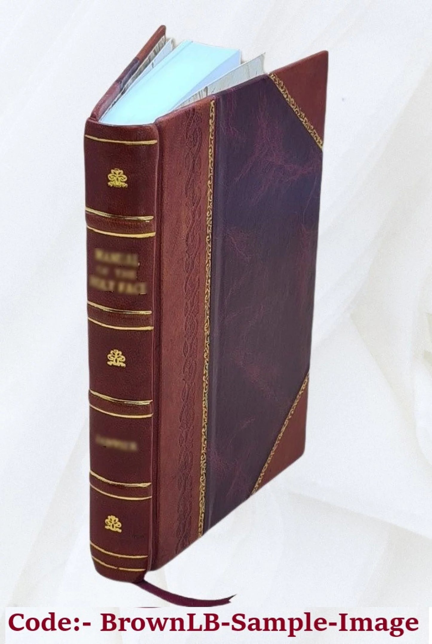 The reminiscences of Bishop Chase, (now bishop of Illinois) Volume v. 2 1844 [Leather Bound]