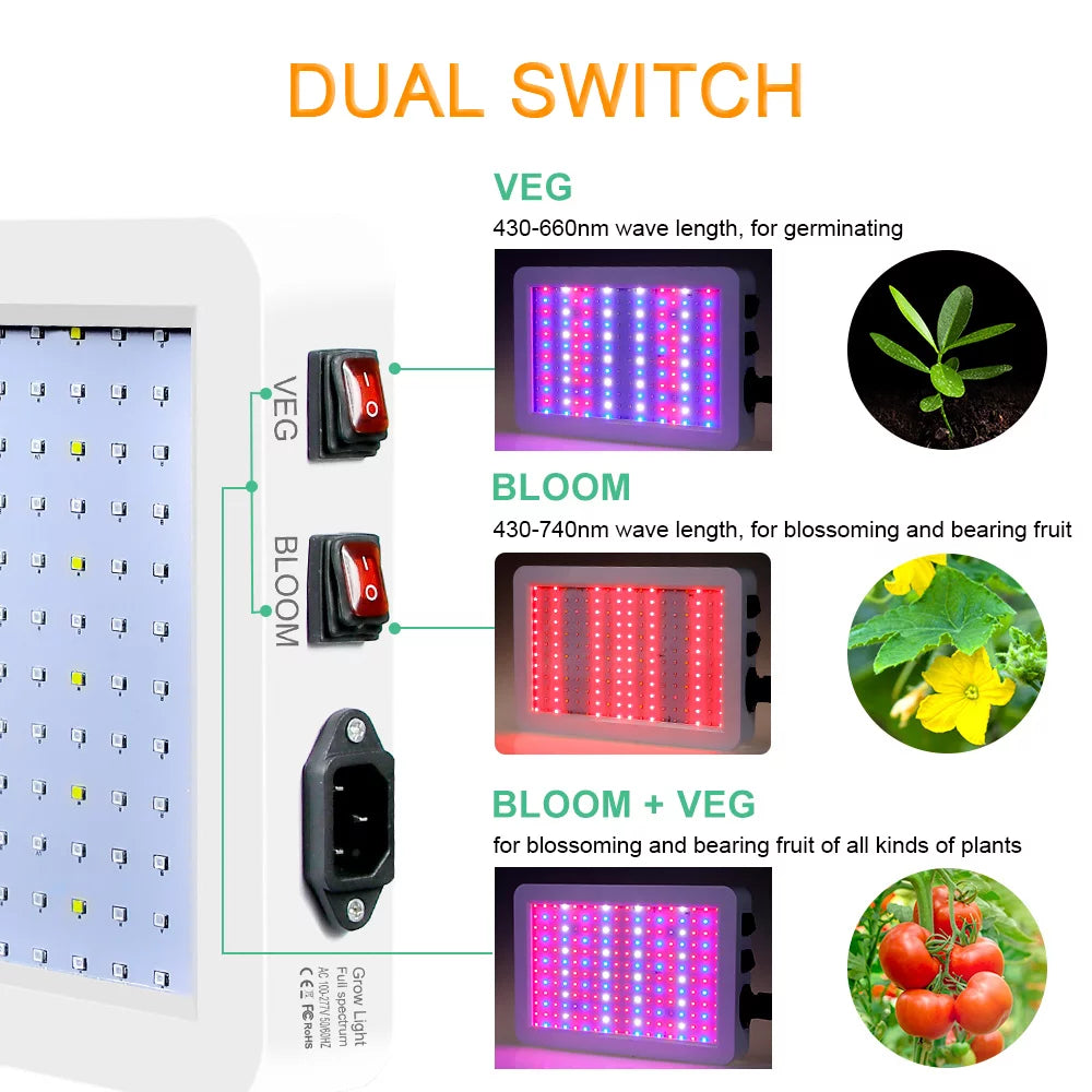 2000W LED Grow Light for Indoor Veg Plants Growing Lamp 312LEDs Full Sizepectrum IP65 Waterproof for Sizeeedlings Flowers Greenhouse