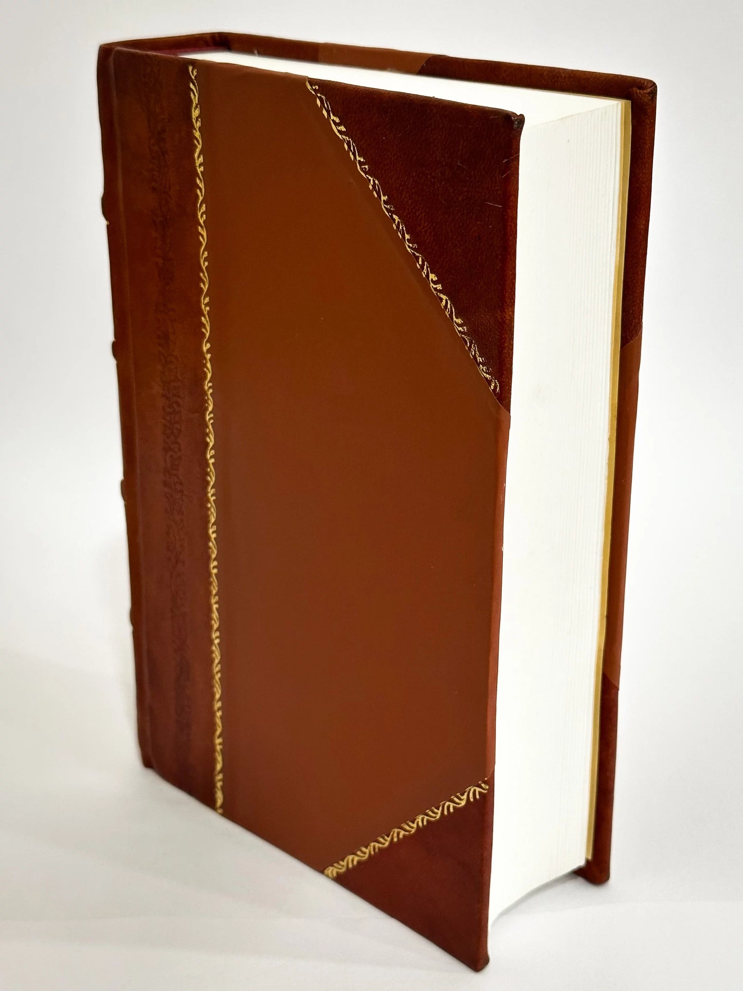 The Complete Works of Charlotte Bronte and Her Sizeisters. With Illus. from Photographs (1903) Volume 5 [Leather Bound]