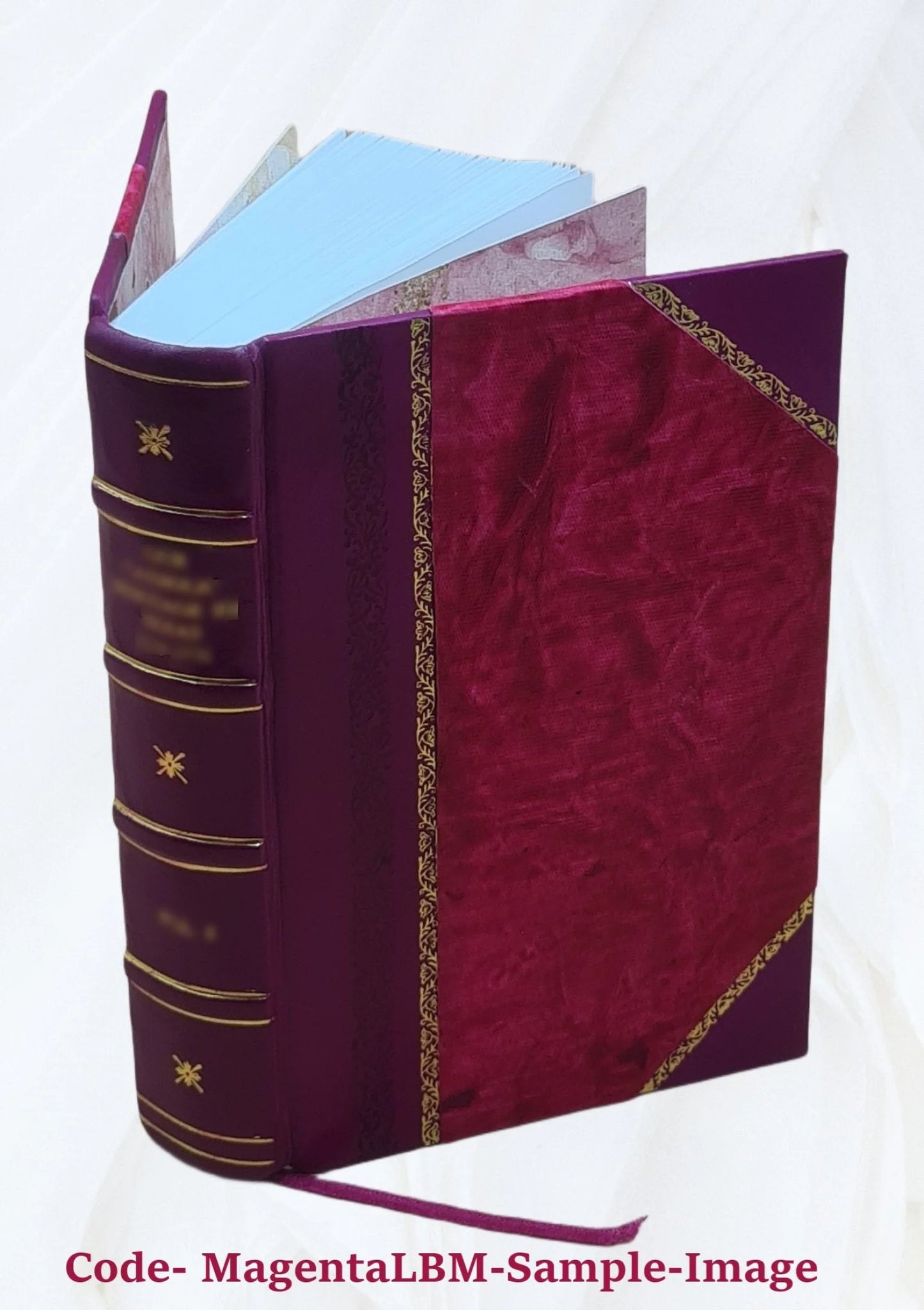 Théatre choisi 1884 [Leather Bound]