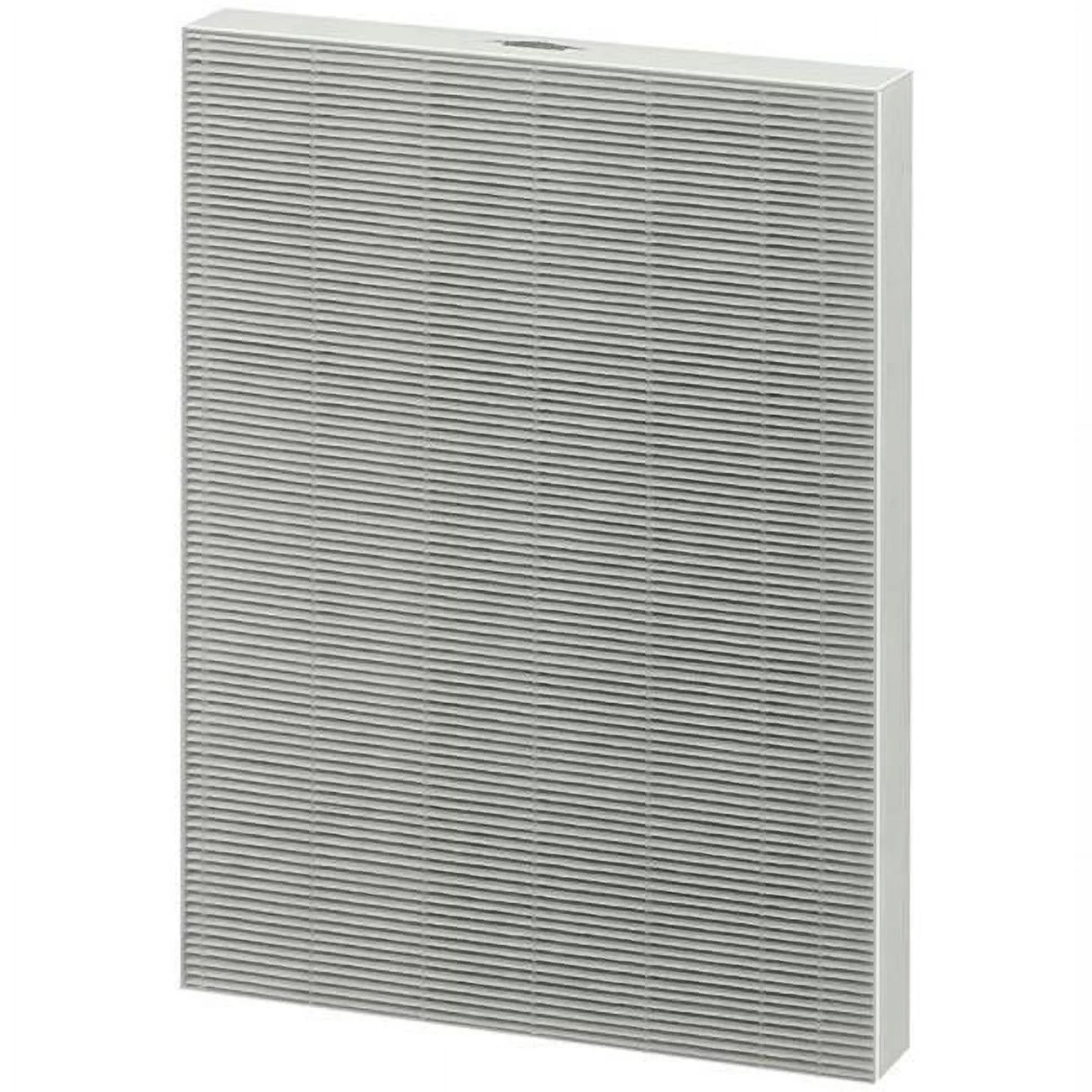 True Hepa Filter With Aerasafe protective Treatment