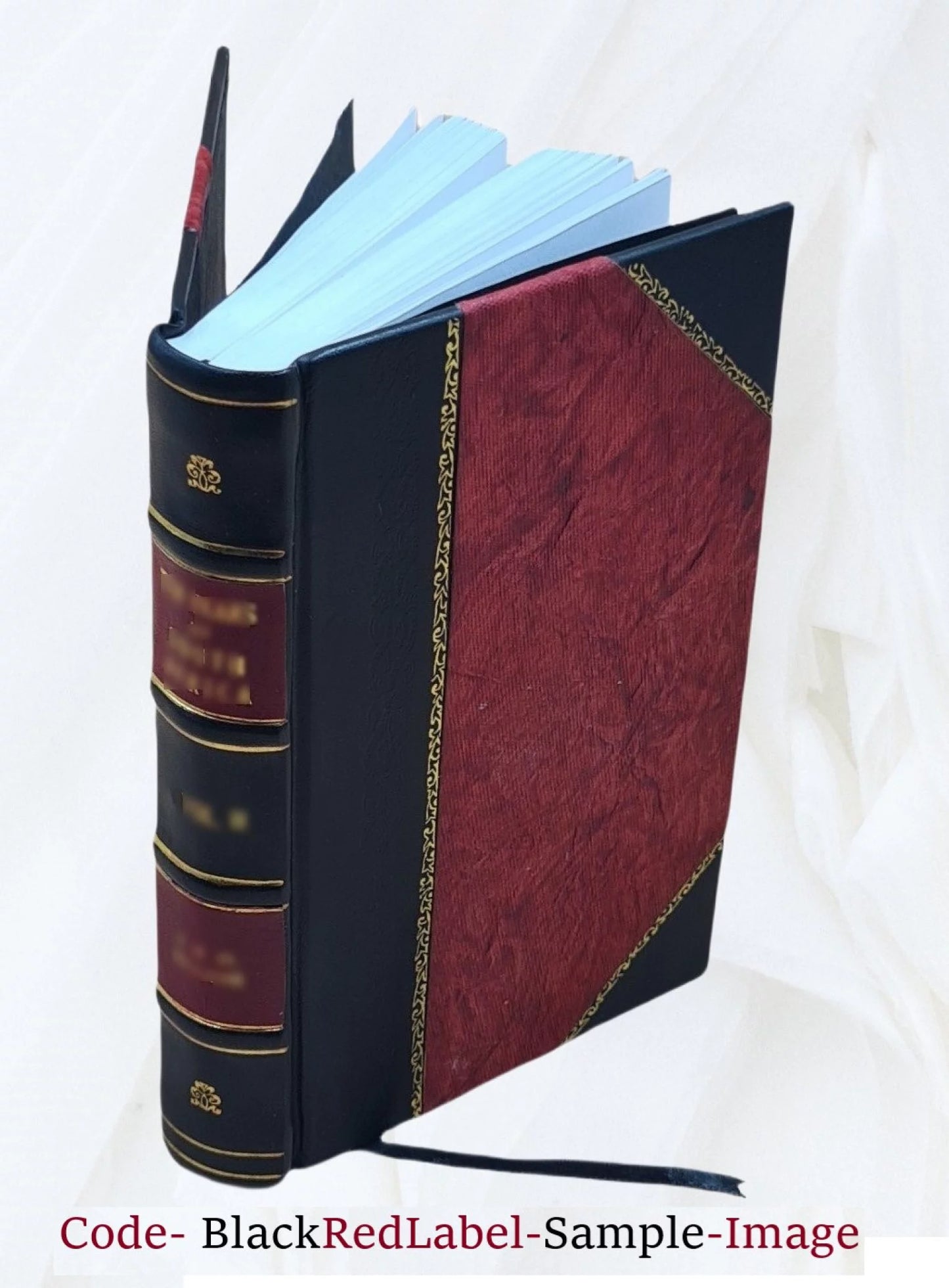 The reminiscences of Bishop Chase, (now bishop of Illinois) Volume v. 2 1844 [Leather Bound]