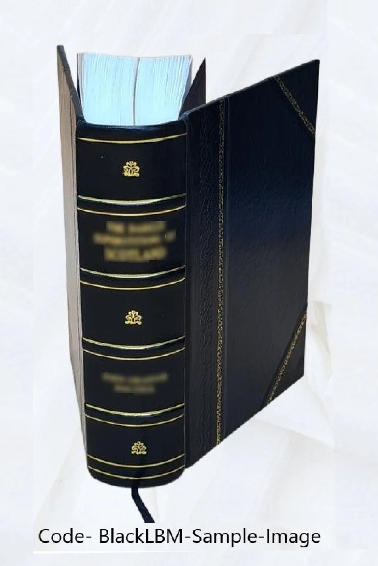 Théatre choisi 1884 [Leather Bound]