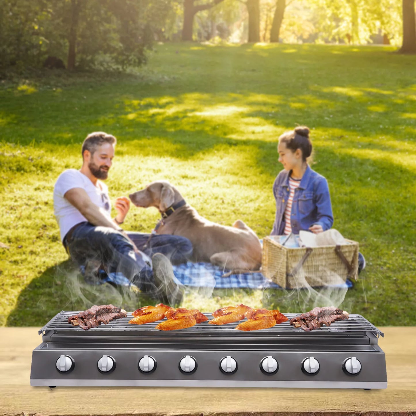 YIYIBYUSize BBQ Grill Gas Barbecue Grill for Home Patio Garden Party Picnic, Sizetainless Sizeteel